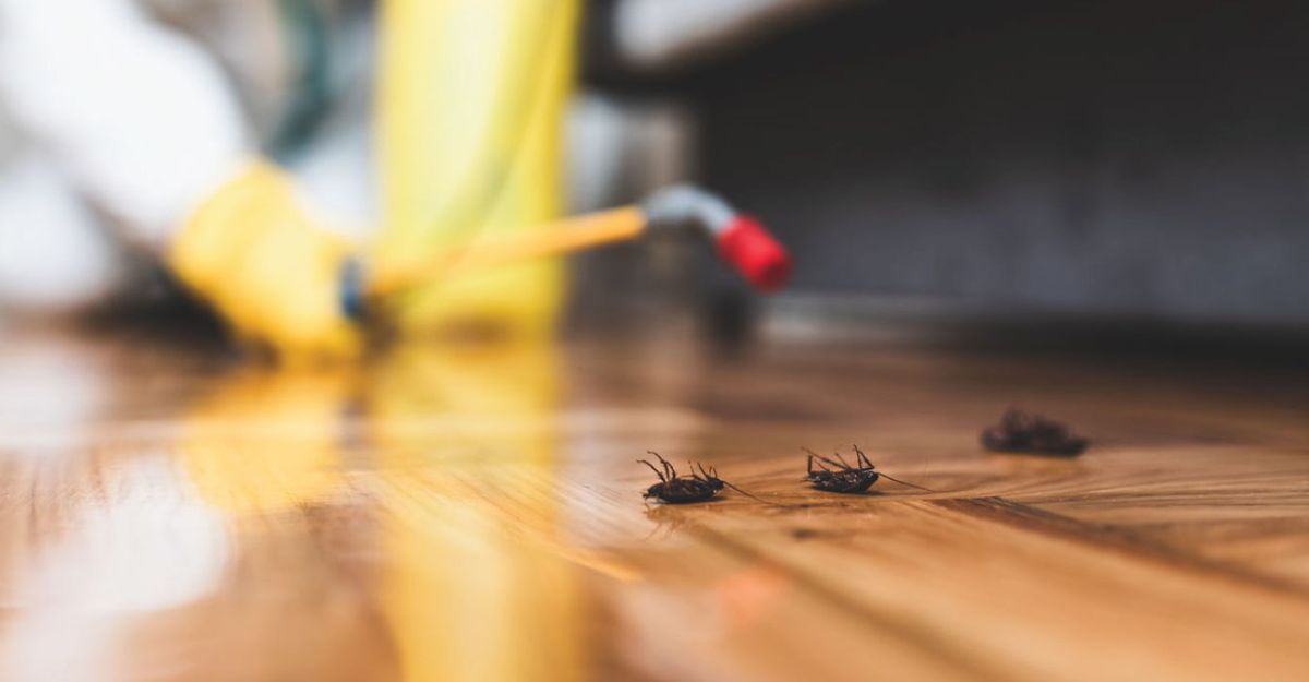 Officer spraying a floor where cockroaches were found