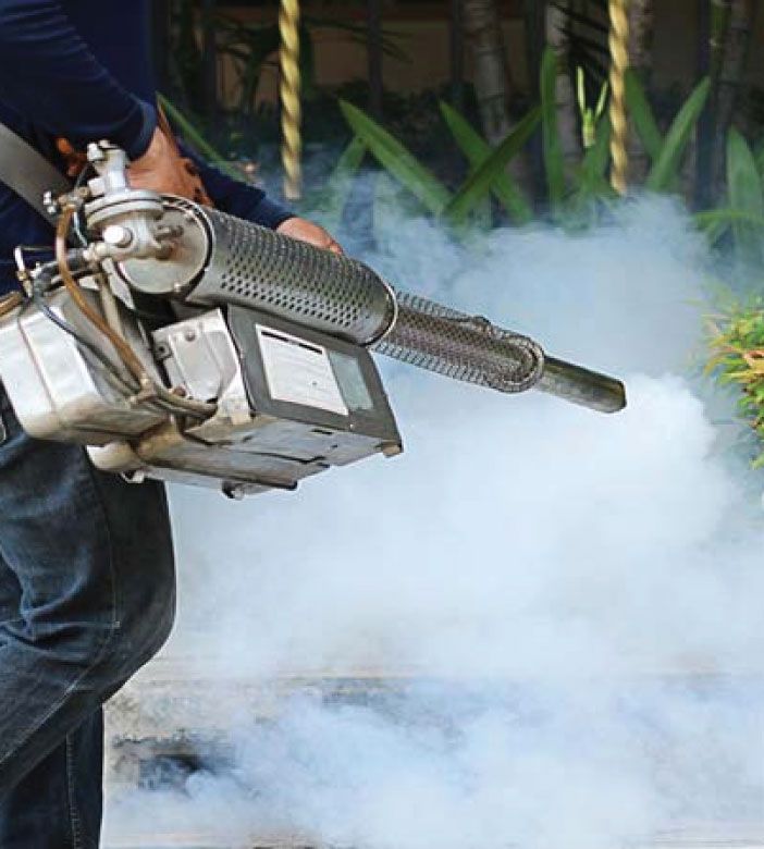 Fogging treatment being applied in a garden
