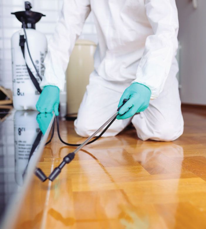 Urban Pest Solutions officer treating skirting boards inside a home