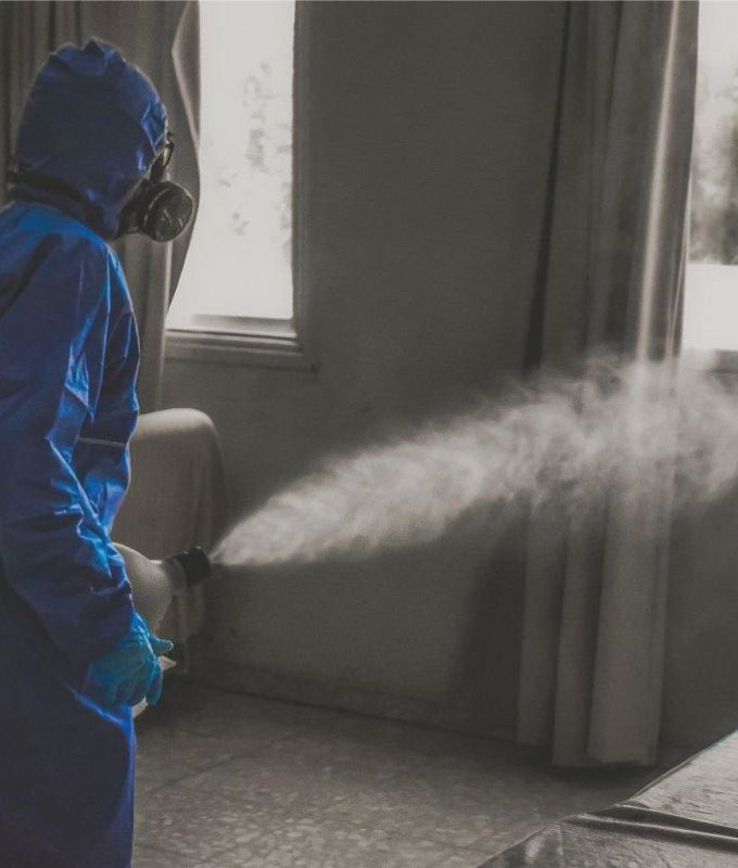 ULV Fogging Treatment